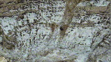 ������� ��Ӻ���������ʲ�ؾ�ȫ��ʵս�¾���