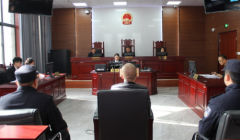 ������ƽ��Ժ����ȭ�����ִ���� ������˾��Ȩ��